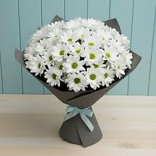 Букет цветов из:  Хризантемы #REPLACE_PRED# Калининце