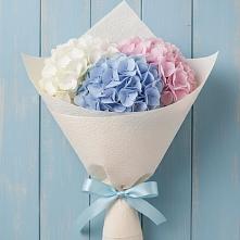 Букет цветов из:  Гортензия в Калининце