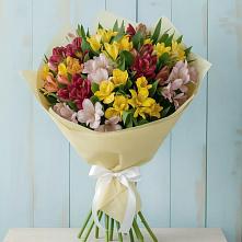 Букет цветов из:  Альстромерии в Калининце