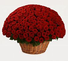 Премиум букет из: Розы в Калининце