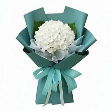 Букет цветов из:  Гортензия в Калининце